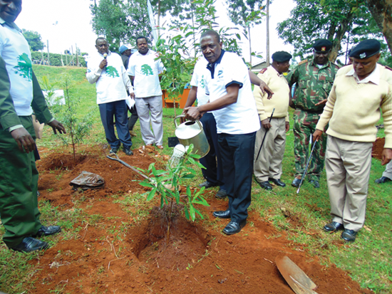 GDFCS Staff Tree Planting Ruiru Dam
